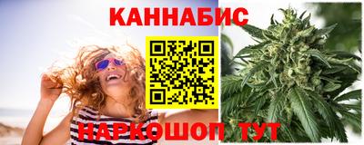 стафф Донецк