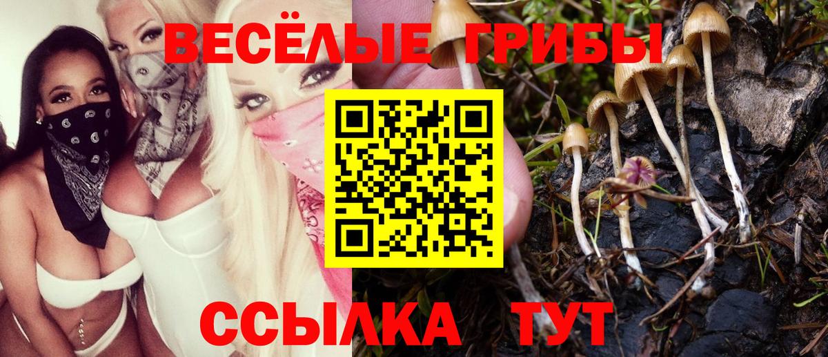 Менделеевск  Псилоцибиновые грибы прущие грибы  Вход с VPN 