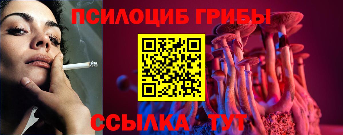 Галлюциногенные грибы GOLDEN TEACHER Менделеевск