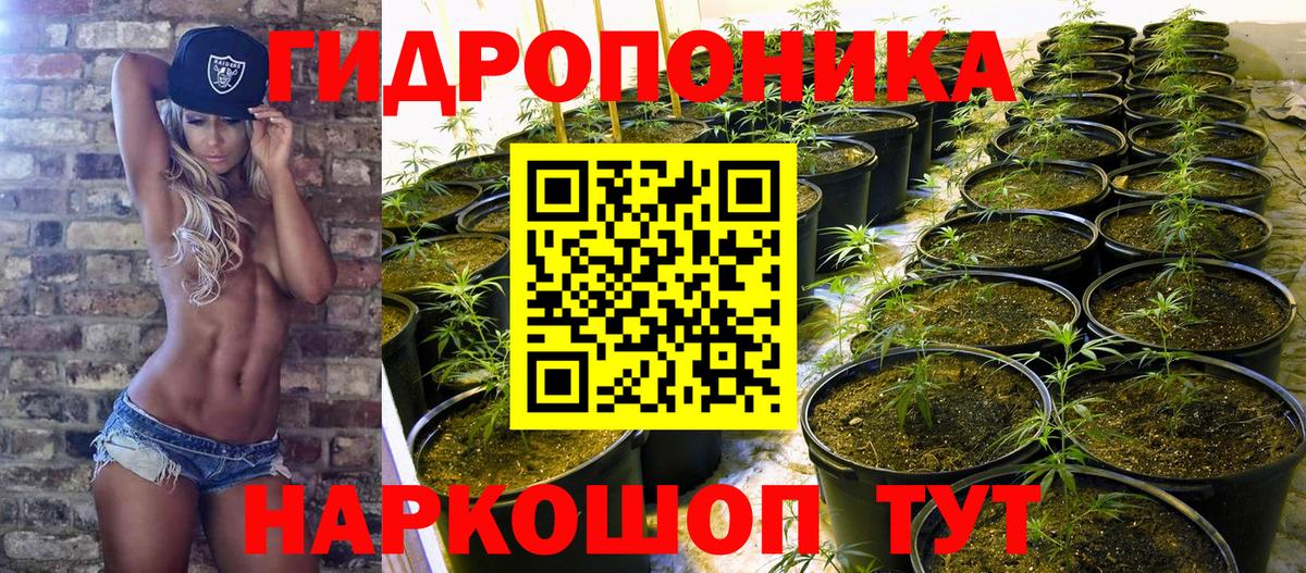 Марихуана Bruce Banner  МАРИХУАНА White Widow  Вход с VPN  Менделеевск  Канабис семена 